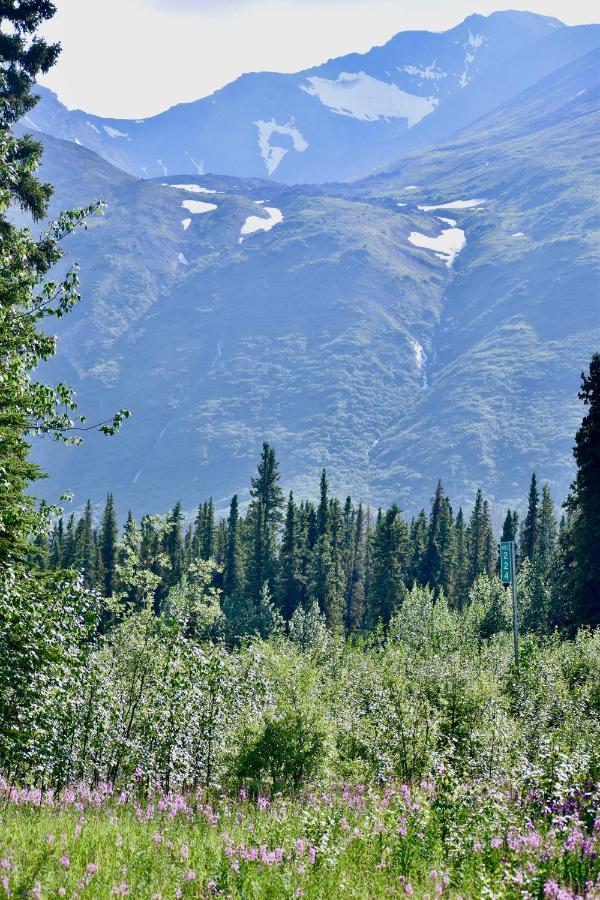 The Perch Resort Denali Park Dış mekan fotoğraf